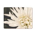 Creative Tops Placemat & Coaster Set - White Chrysanthemum